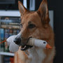 A german shepherd dog holds a stuffed duck toy in its mouth.